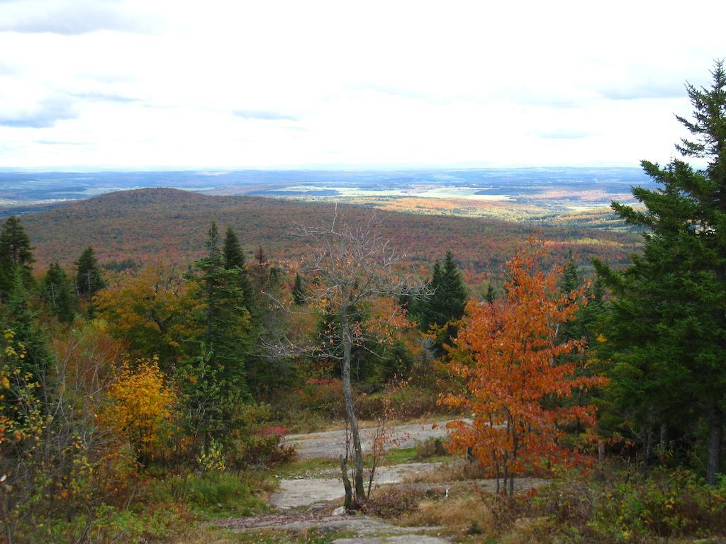 Le Gite Ambrelane Thetford Mines Εξωτερικό φωτογραφία