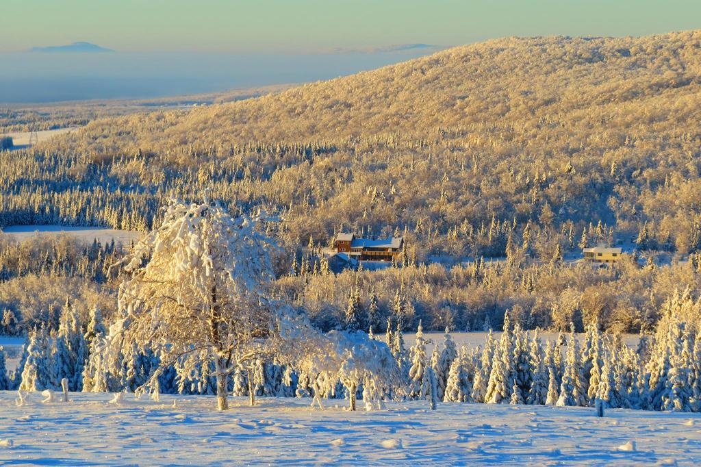 Le Gite Ambrelane Thetford Mines Εξωτερικό φωτογραφία