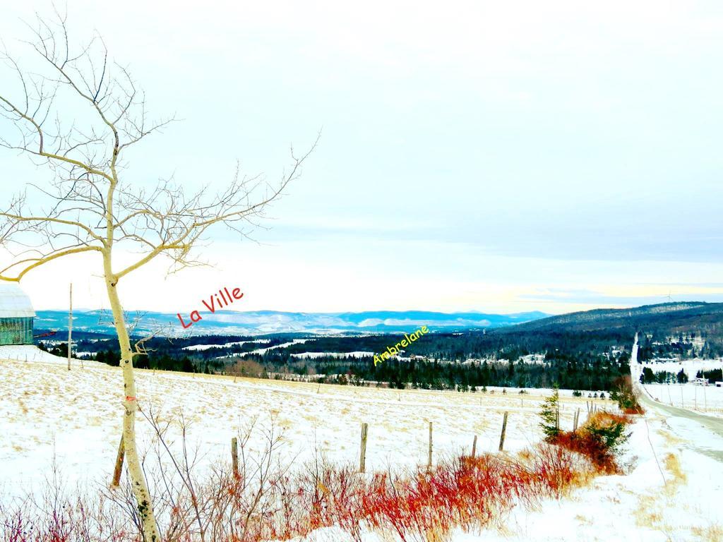 Le Gite Ambrelane Thetford Mines Εξωτερικό φωτογραφία