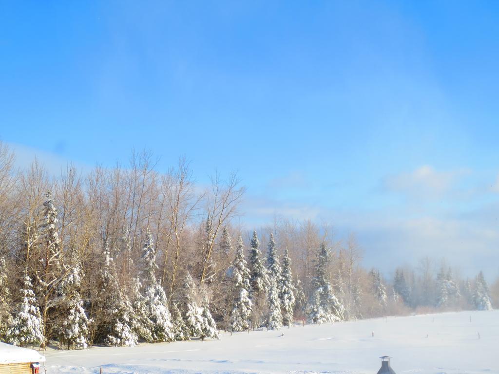 Le Gite Ambrelane Thetford Mines Εξωτερικό φωτογραφία