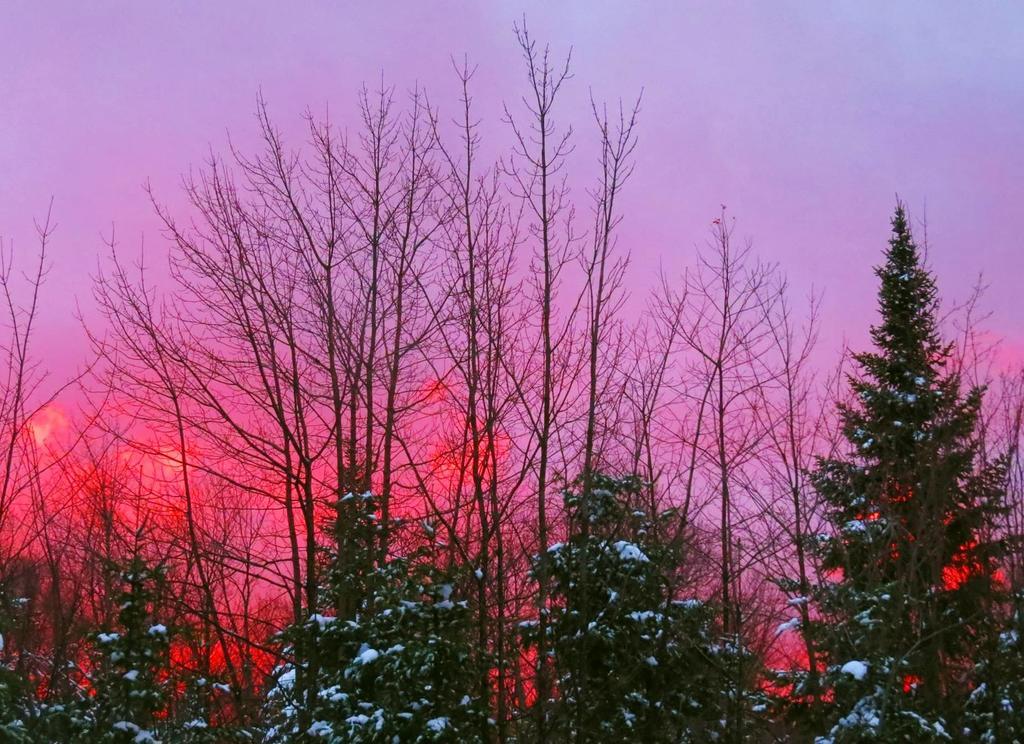 Le Gite Ambrelane Thetford Mines Εξωτερικό φωτογραφία