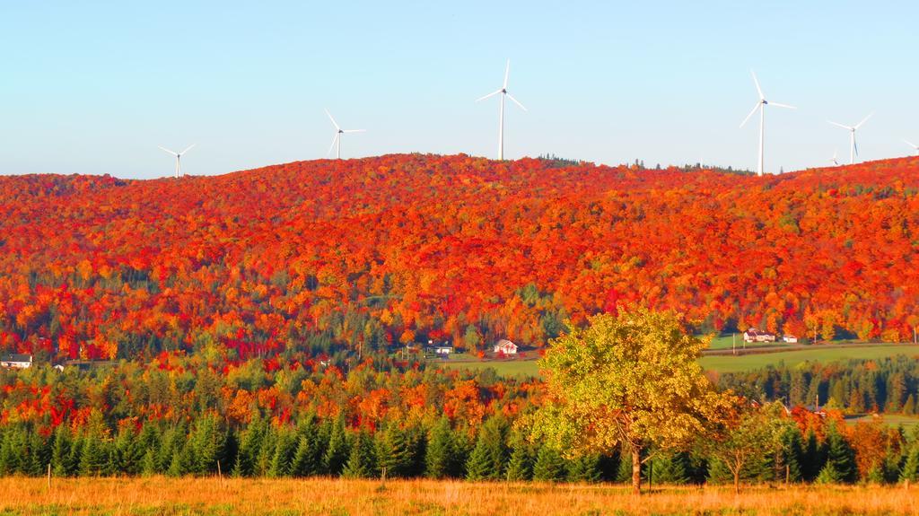 Le Gite Ambrelane Thetford Mines Εξωτερικό φωτογραφία
