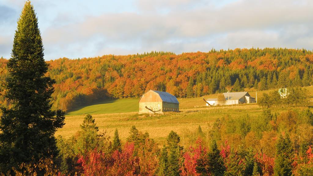 Le Gite Ambrelane Thetford Mines Εξωτερικό φωτογραφία